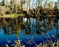 adda (20)